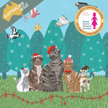 Load image into Gallery viewer, Charity Christmas Cards - BCNA Santa Cats
