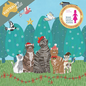 Charity Christmas Cards - BCNA Santa Cats