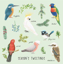 Load image into Gallery viewer, Charity Christmas Cards - CMRI Australian Birds
