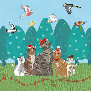 Charity Christmas Cards - BCNA Santa Cats