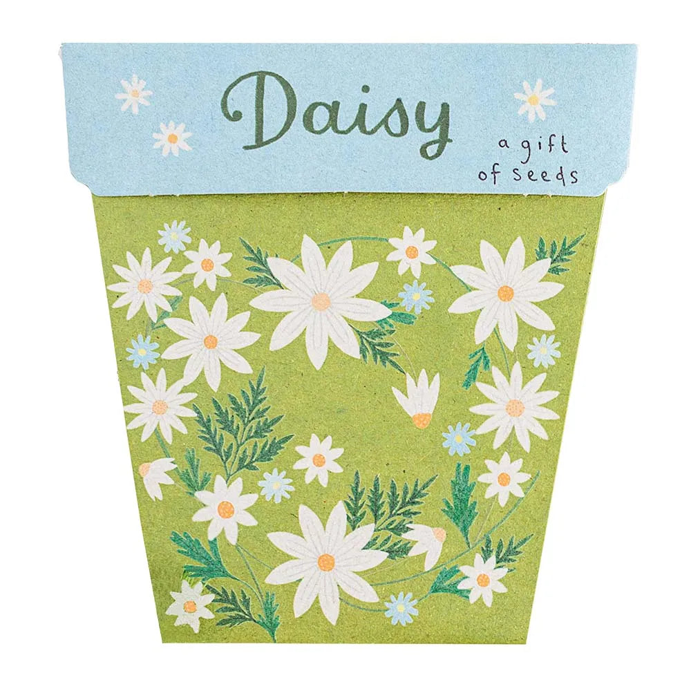 Sow 'n Sow Seed Greeting Card - Daisy