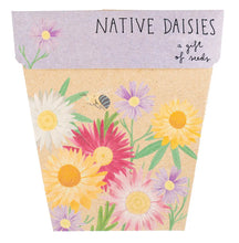 Load image into Gallery viewer, Sow &#39;n Sow Seed Greeting Card - Native Daisies
