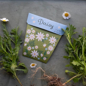 Sow 'n Sow Seed Greeting Card - Daisy