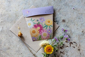 Sow 'n Sow Seed Greeting Card - Native Daisies