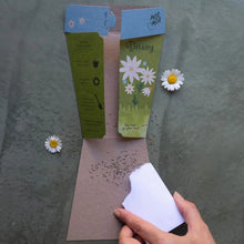 Load image into Gallery viewer, Sow &#39;n Sow Seed Greeting Card - Daisy
