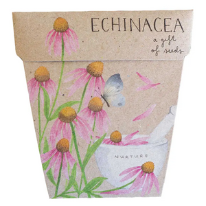 Sow 'n Sow Seed Greeting Card - Echinacea