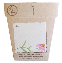 Load image into Gallery viewer, Sow &#39;n Sow Seed Greeting Card - Echinacea
