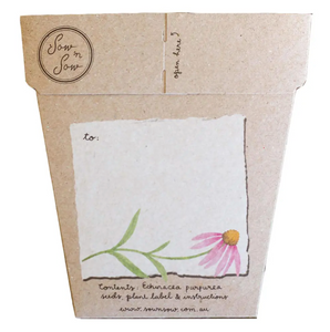 Sow 'n Sow Seed Greeting Card - Echinacea